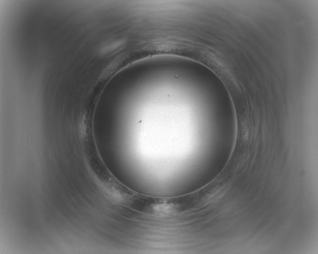 X0000071850216200607072310