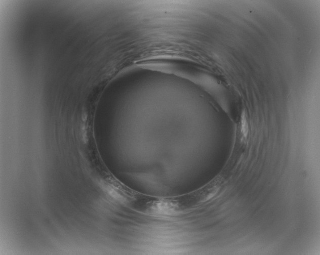 X0000071850223200607072310