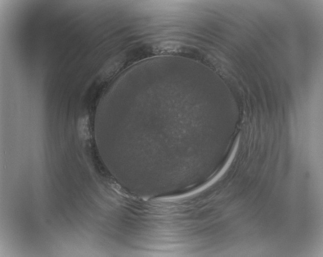 X0000071850224200607072310