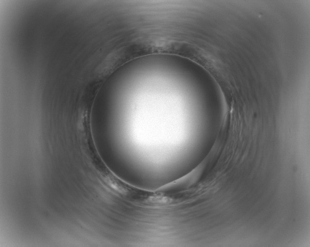 X0000071850225200607072310