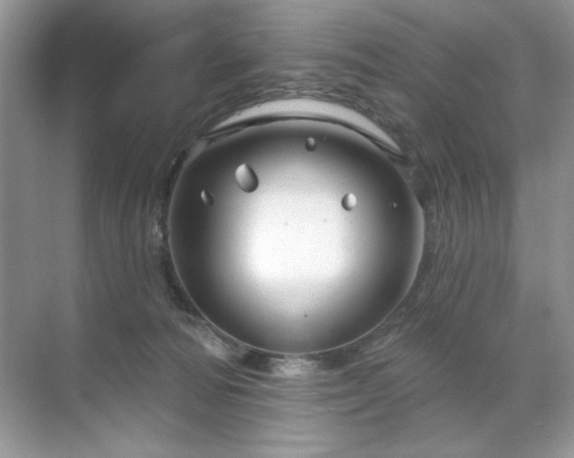 X0000071850226200607072310