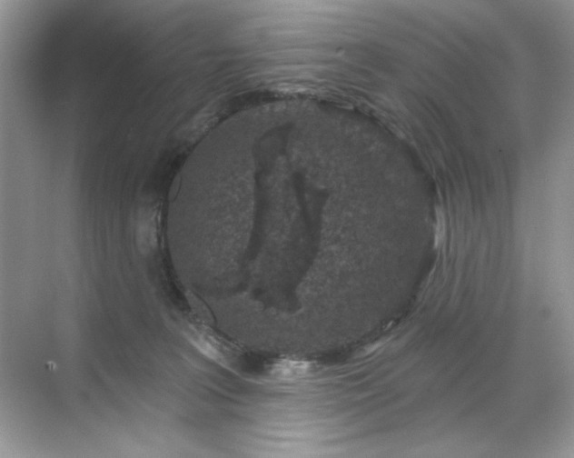 X0000071850227200607072310