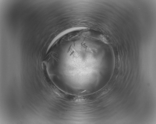 X0000071850228200607072310