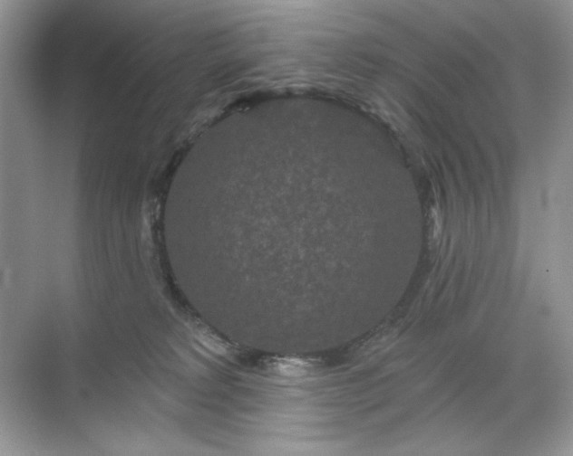 X0000071850229200607072309