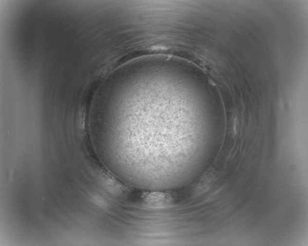 X0000071850230200607072309