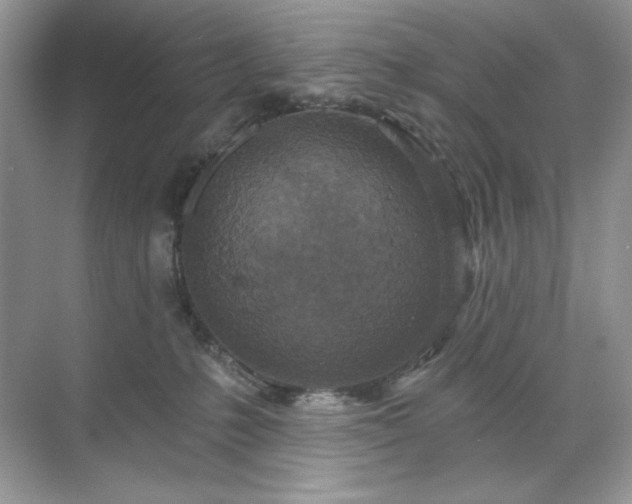 X0000071850231200607072309