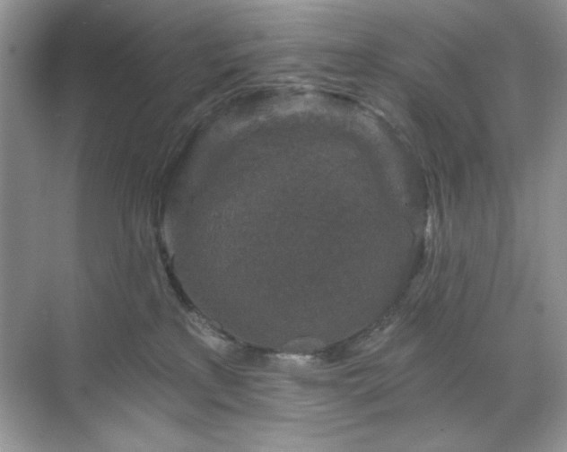 X0000071850233200607072309