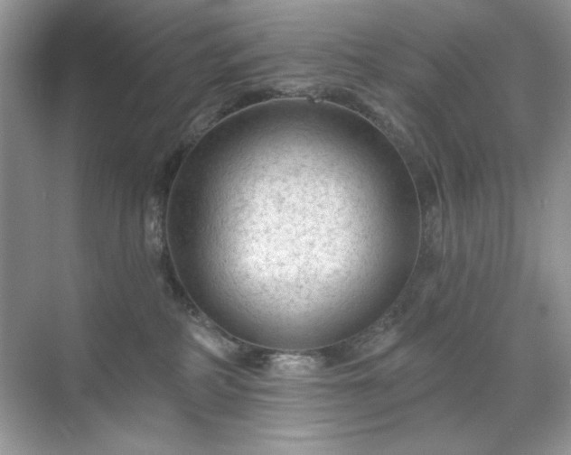 X0000071850234200607072309