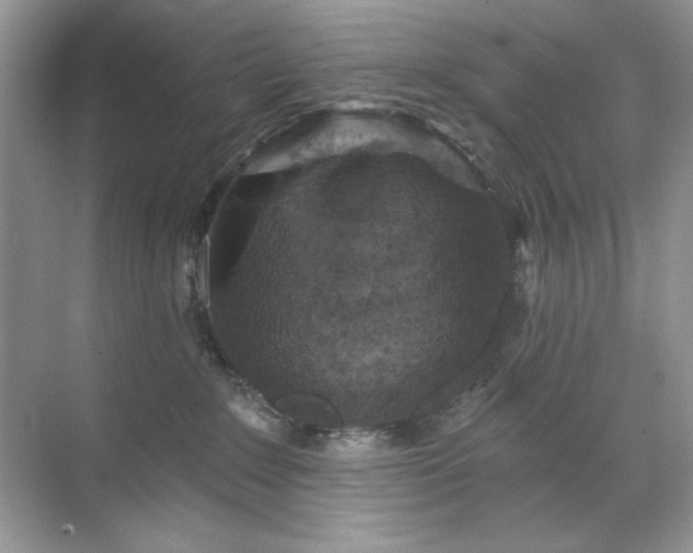 X0000071850235200607072309