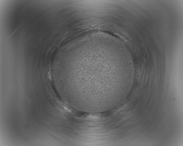 X0000071850236200607072309