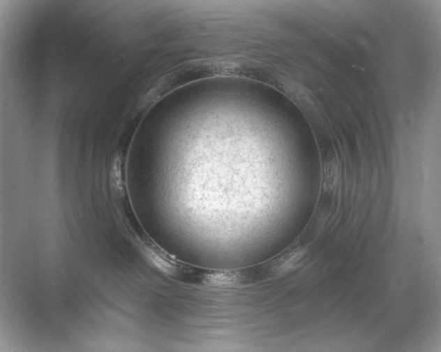 X0000071850238200607072309