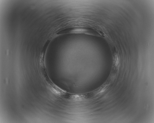 X0000071850239200607072309