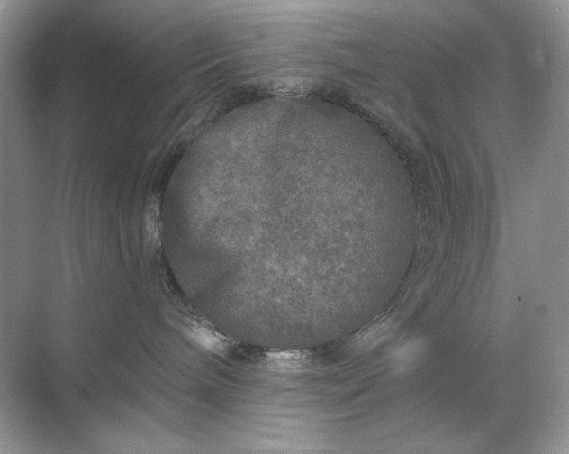 X0000071850240200607072309