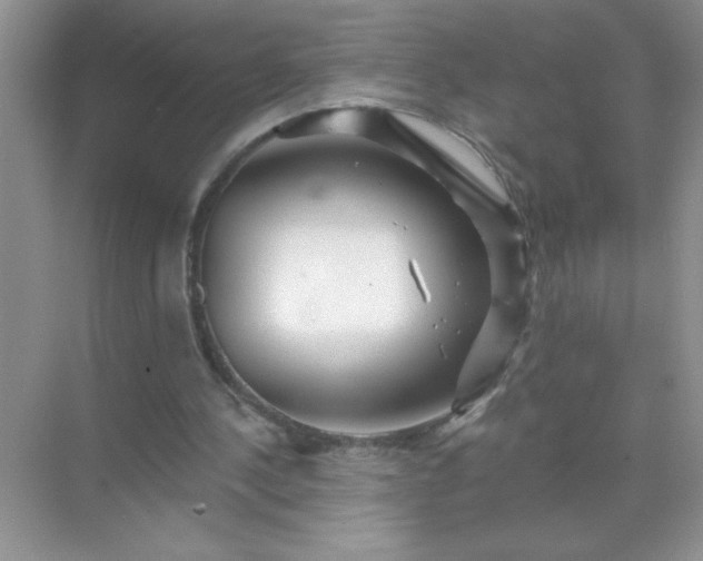 X0000071850244200607072309