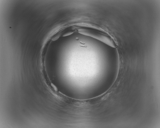 X0000071850245200607072309