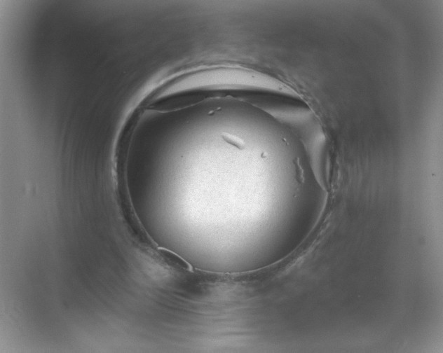 X0000071850246200607072309