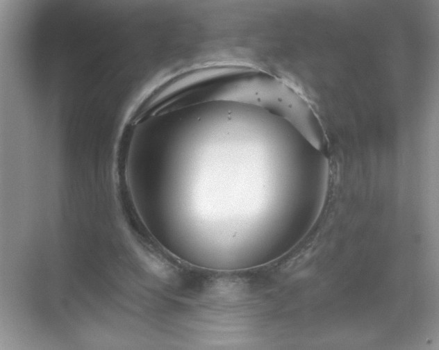 X0000071850248200607072309