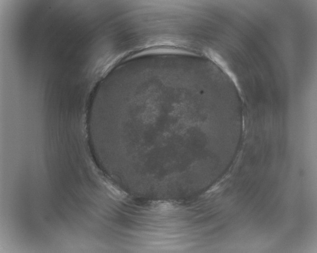 X0000071850249200607072309