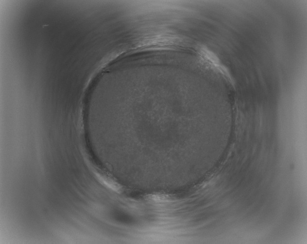 X0000071850250200607072309