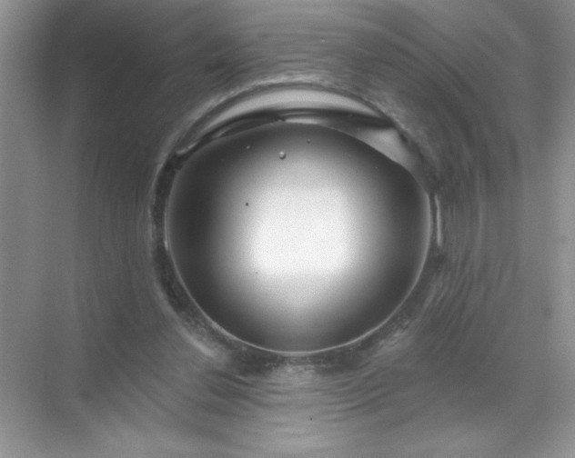 X0000071850252200607072309