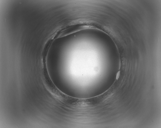 X0000071850254200607072309