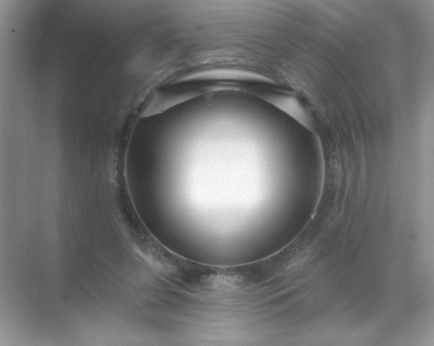 X0000071850255200607072309