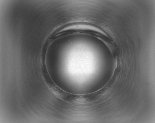 X0000071850256200607072309