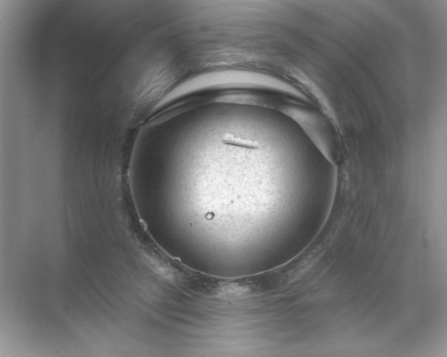 X0000071850257200607072309