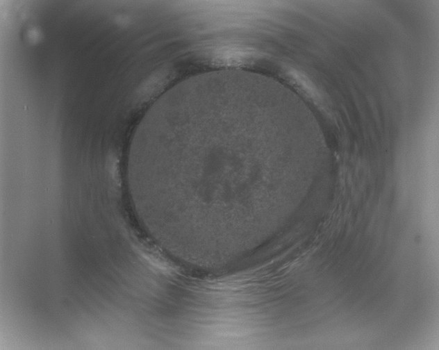 X0000071850258200607072309