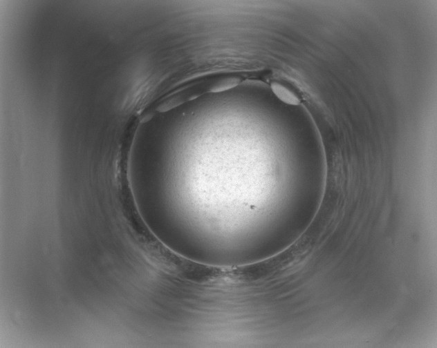 X0000071850259200607072309