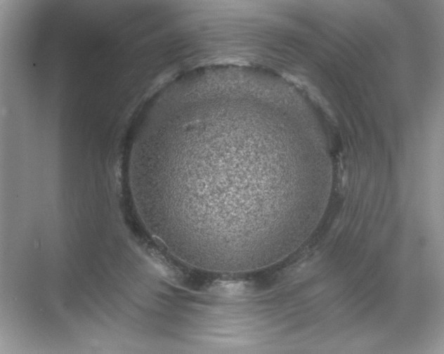 X0000071850260200607072309