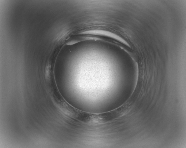 X0000071850263200607072309