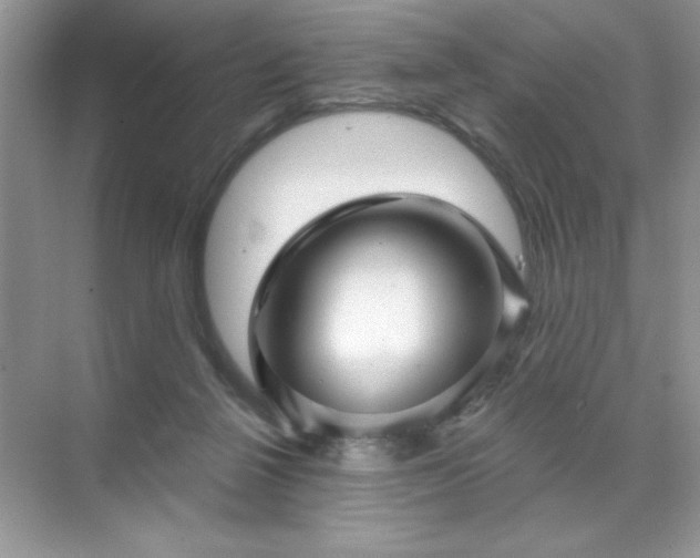 X0000071850264200607072309