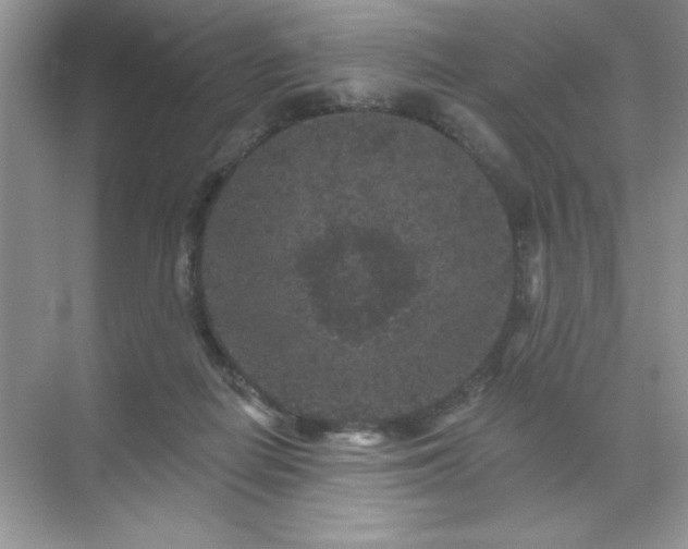 X0000071850266200607072309