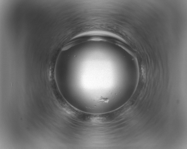 X0000071850268200607072309