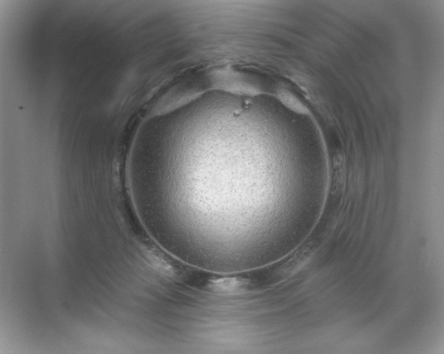 X0000071850269200607072309