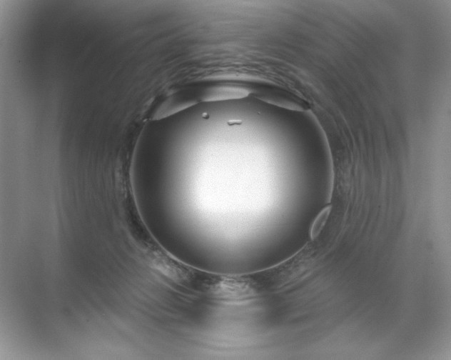 X0000071850270200607072309