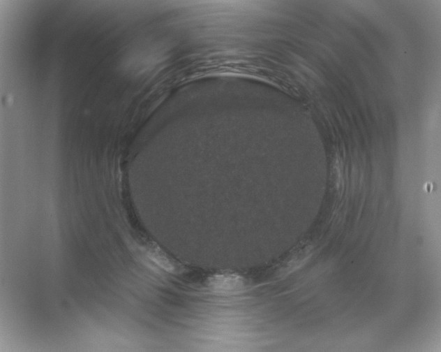 X0000071850271200607072309