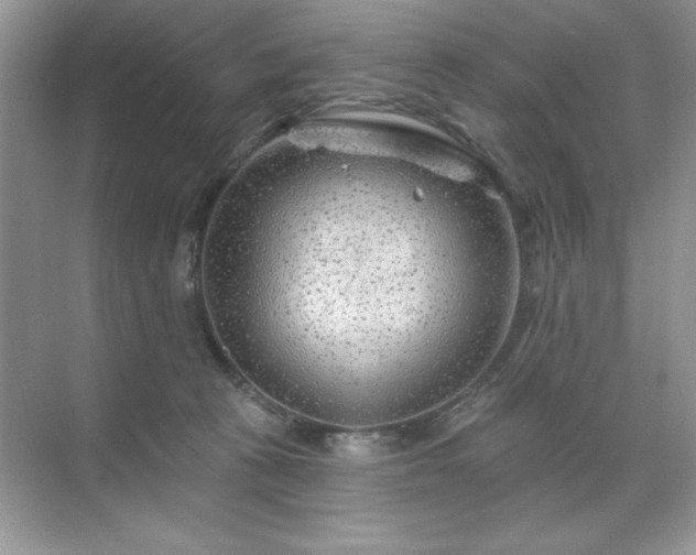 X0000071850273200607072309