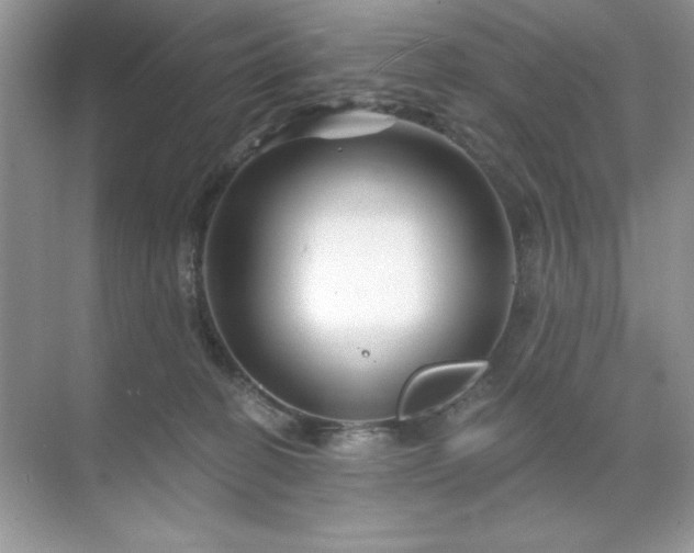 X0000071850274200607072309