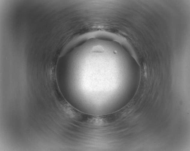 X0000071850276200607072309