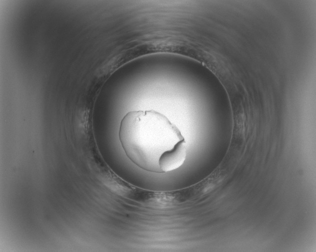 X0000071850278200607072309