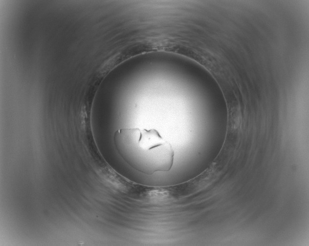 X0000071850279200607072309