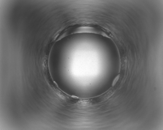 X0000071850280200607072309