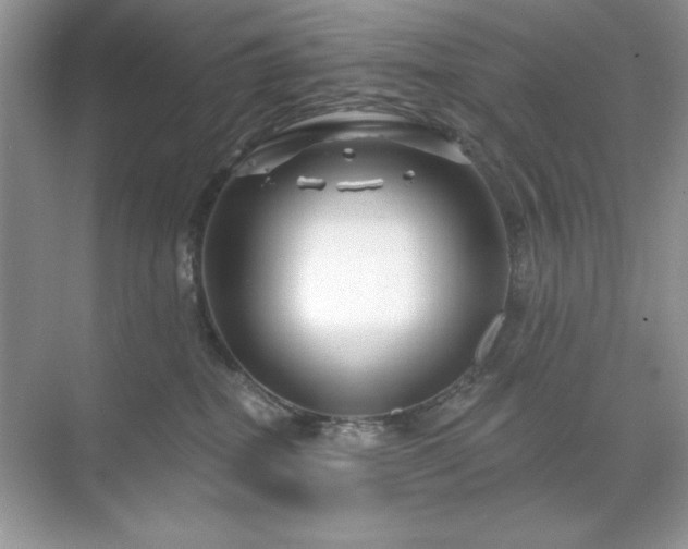 X0000071850282200607072309