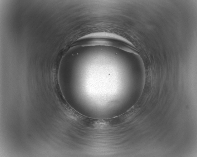 X0000071850283200607072309