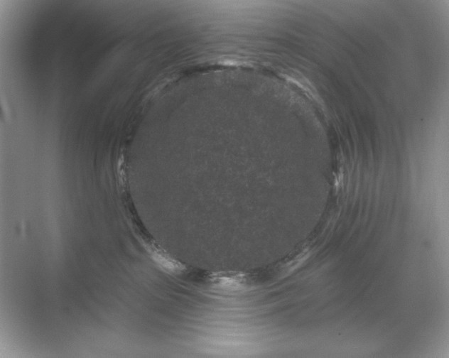 X0000071850285200607072309