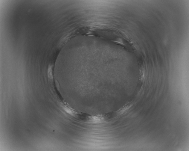 X0000071850286200607072309