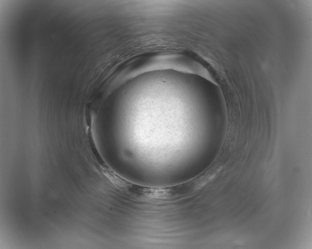 X0000071850288200607072309