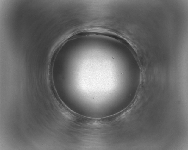 X0000071850293200607072308